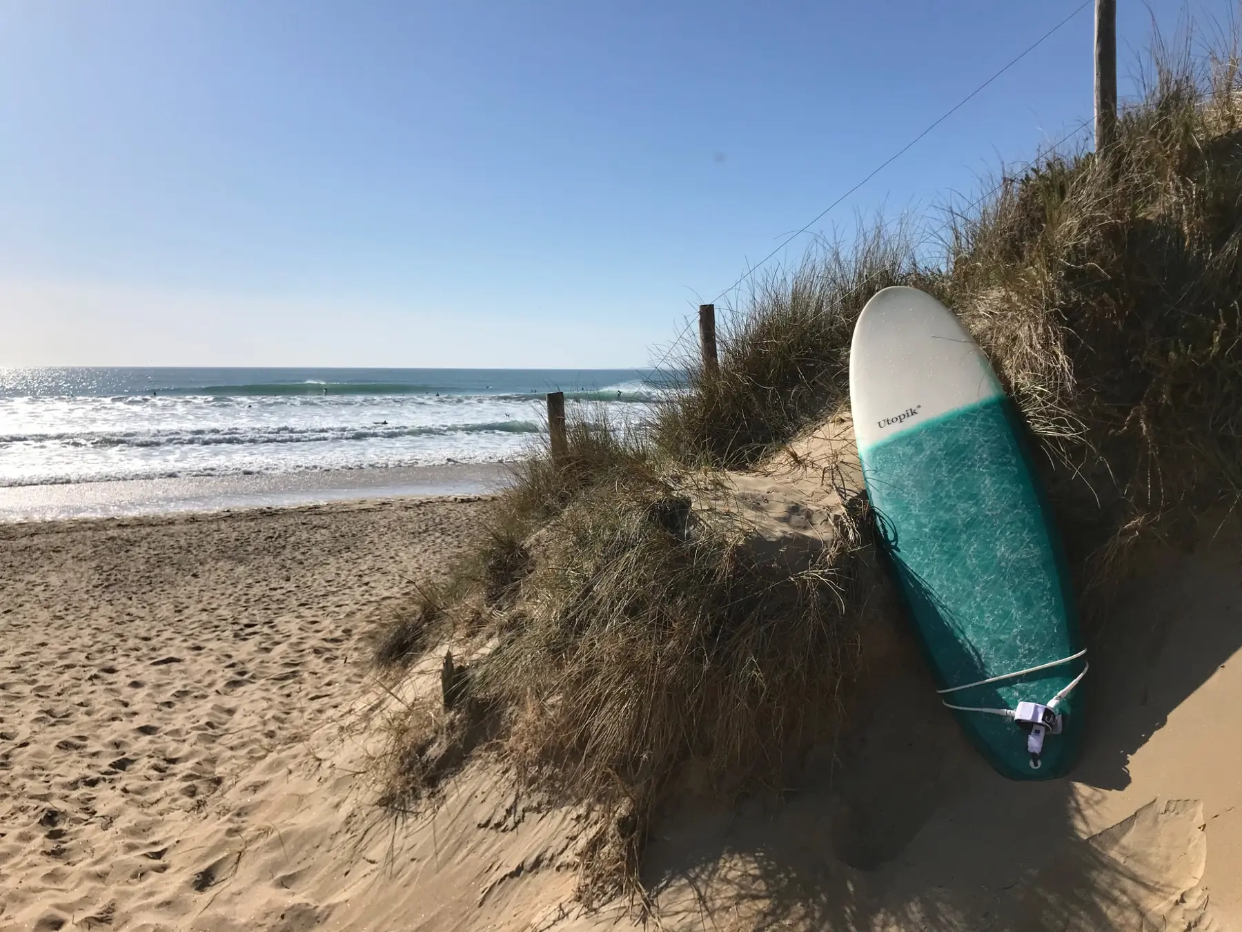 Egg Utopik vert posé dans les dunes face à l’océan